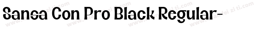 Sansa Con Pro Black Regular字体转换